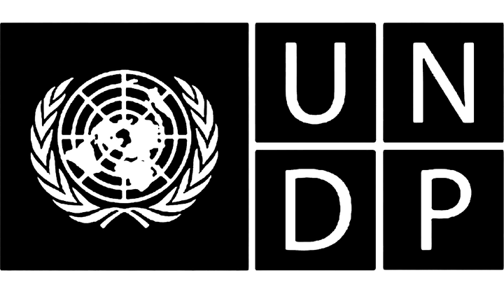UNDP